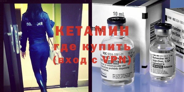 индика Алексин