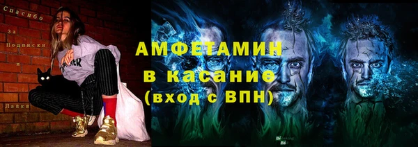 индика Алексин