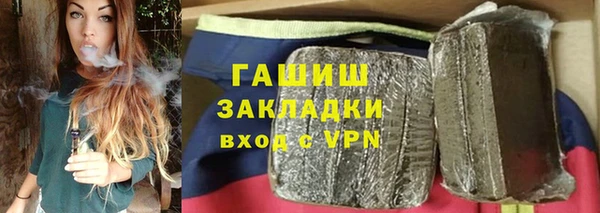 индика Алексин