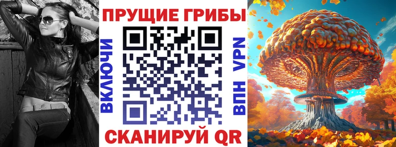 где купить   Заволжск  Галлюциногенные грибы прущие грибы 
